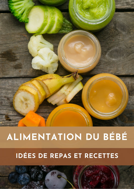 Idees_repas_et_recettes_pour_bebe